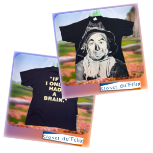 Scarecrow, If I only had a Brain.