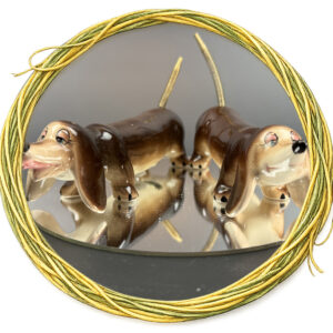 Spring Tail Dachshund