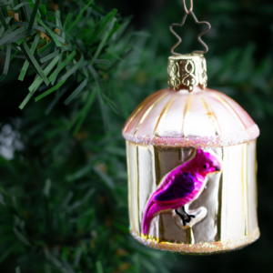 Parrot in a cage, Vintage Old World Christmas Glass Ornament