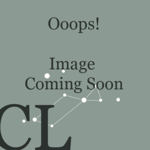 Large Silver Fish, with Pink detail,Four Inch,Vintage Old World Glass Christmas Ornament